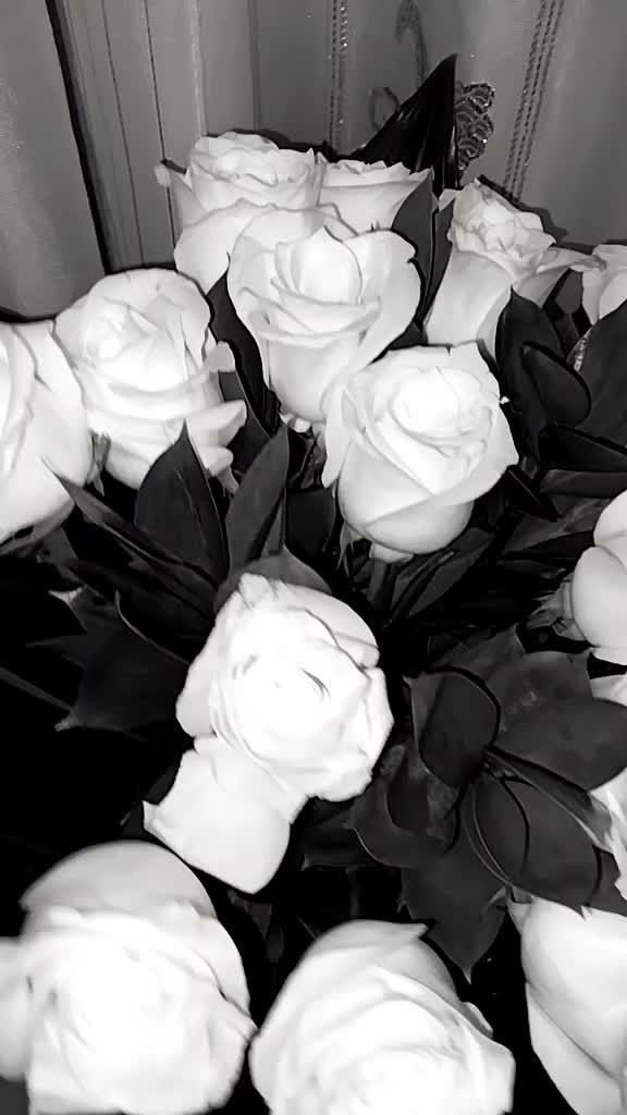Harmony in Bloom: Earth's Melodic Bouquet